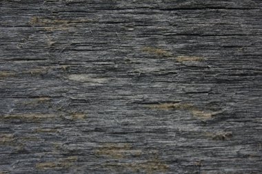 Eski woden arka plan doku doğal desenli