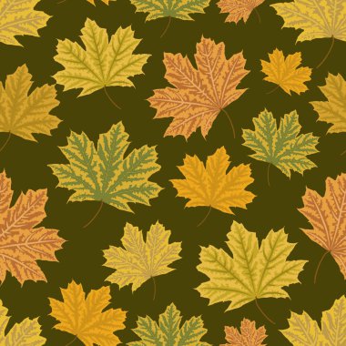 Akçaağaç Dikişsiz desen bırakır. Vektör çizim. Tekstil veya kağıt tasarımı