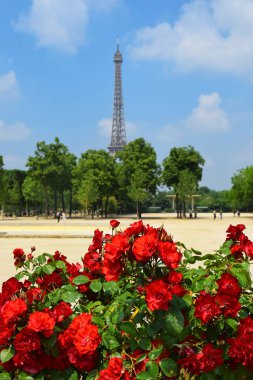 görünümünü çiçek açan aracılığıyla Champ de Mars Eyfel Kulesi'nden kırmızı güller, Paris, Fransa
