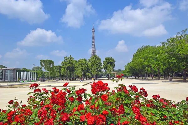 Vista Torre Eiffel Desde Campo Marte Través Rosas Rojas Florecientes —  Fotos de Stock