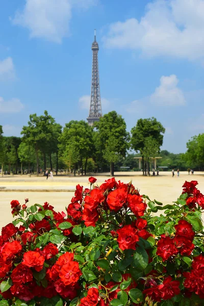 Widok Wieża Eiffla Champ Mars Poprzez Kwitnący Czerwone Róże Paryż — Zdjęcie stockowe