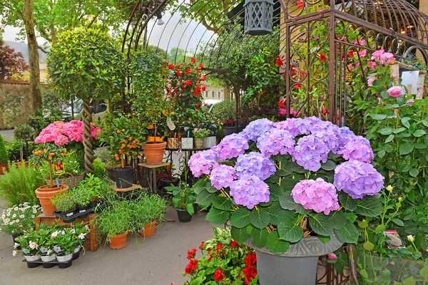 Venda Flores Decorativas Uma Pequena Loja Flores Rua Paris — Fotografia de Stock