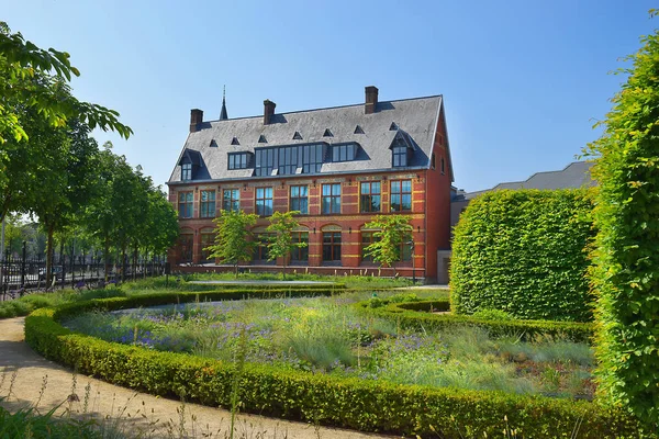 Pittoreska Trädgård Nära Rijksmuseum Amsterdam Nederländerna — Stockfoto