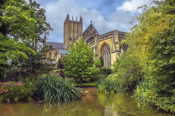 Wells Cathedral Domkyrkan Kyrkan Saint Andrew Wells Abbey Och Park — Stockfoto