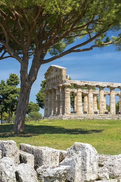 Храм Athena Minerva Також Відомий Cerere Temple Давньогрецький Храм Доричного — стокове фото