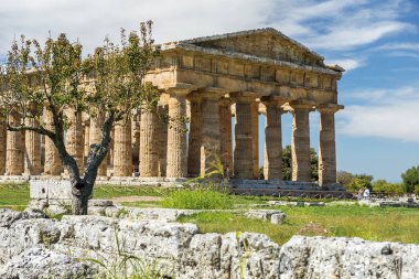 Tapınak Hera (Ayrıca yanlışlıkla tapınağın Neptün'ün veya Poseidon, antik Yunan tapınağı Poseidonia (Paestum), Campania, İtalya Dorik sırayla çağrılan II