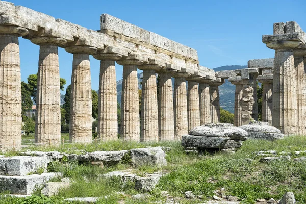 Αρχαίων Ελληνικών Αρχαιολογικών Χώρων Στην Ποσειδωνία Paestum Καμπανία Νότια Ιταλία — Φωτογραφία Αρχείου
