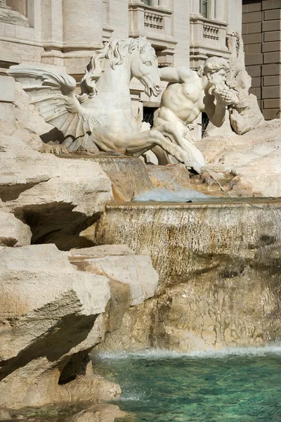 Cavalo Alado Tritão Detalhe Fonte Trevi Roma Itália — Fotografia de Stock