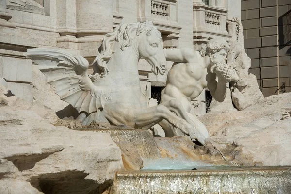 Крылатый Конь Тритон Детали Фонтана Треви Риме Италия Стоковое Изображение