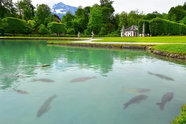 Salzburg Austria Maja 2019 Staw Olbrzymich Pospolitych Karp Rzeźb Jednorożca — Zdjęcie stockowe