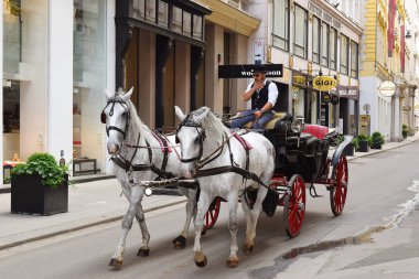Viyana, Avusturya - 26 Mayıs 2019: İnsanlar geleneksel eski moda fiacre bir at yolculuğu var, muhteşem Viyana ile yürümek