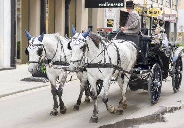 Viyana, Avusturya - 26 Mayıs 2019: İnsanlar geleneksel eski moda fiacre bir at yolculuğu var, muhteşem Viyana ile yürümek