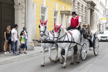 Viyana, Avusturya - 26 Mayıs 2019: İnsanlar geleneksel eski moda fiacre bir at yolculuğu var, muhteşem Viyana ile yürümek
