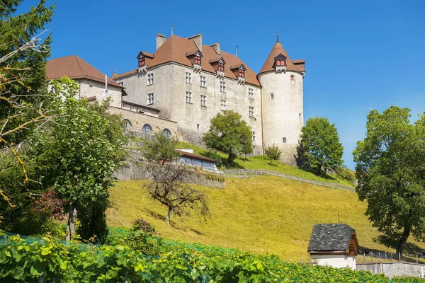 Malowniczy Krajobraz Średniowiecznym Zamkiem Gruyeres Kantonie Fryburga Jest Jednym Najsłynniejszych — Zdjęcie stockowe