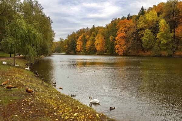 Paesaggio Autunnale Nel Parco Tsaritsyno Mosca Russia — Foto Stock