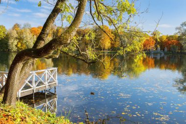 Gatchina parkında sonbahar manzarası, Leningrad bölgesinde halk parkı, St. Petersburg, Rusya