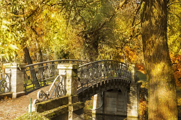 Őszi Táj Gatchina Parkban Nyilvános Park Leningrádi Régióban Szentpétervár Oroszország — Stock Fotó