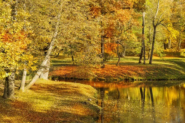 Őszi Táj Gatchina Parkban Nyilvános Park Leningrádi Régióban Szentpétervár Oroszország — Stock Fotó