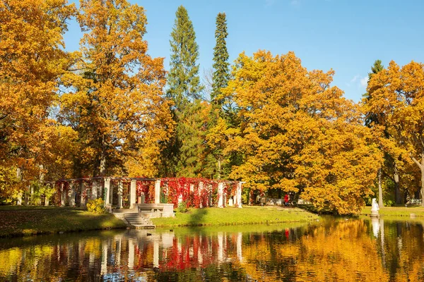 Złota Jesień Pergola Splecione Dzikimi Winogronami Chińskim Stawie Parku Publicznym — Zdjęcie stockowe