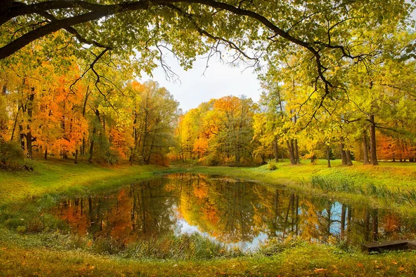 Осенний Пейзаж Парке Царицыно Москве Россия — стоковое фото
