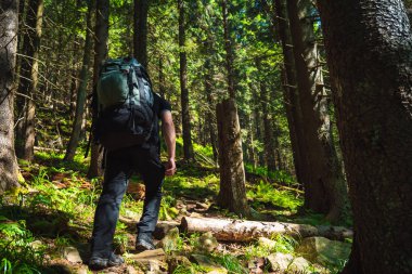 Bir adam dağlara çıkıyor.