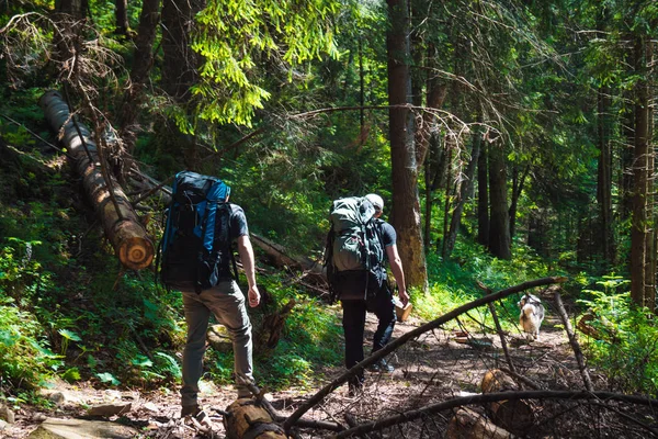 Two friends travel in mountains with backpacks — Stock Photo, Image