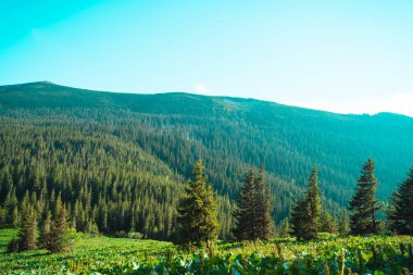 dağ tepeleri güzel dağ manzara, dağlarda yürüyüş