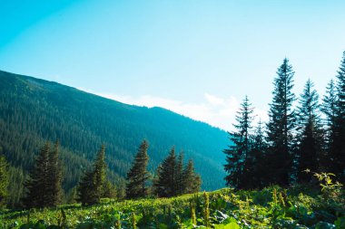 dağ tepeleri güzel dağ manzara, dağlarda yürüyüş