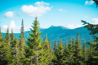 dağ tepeleri güzel dağ manzara, dağlarda yürüyüş
