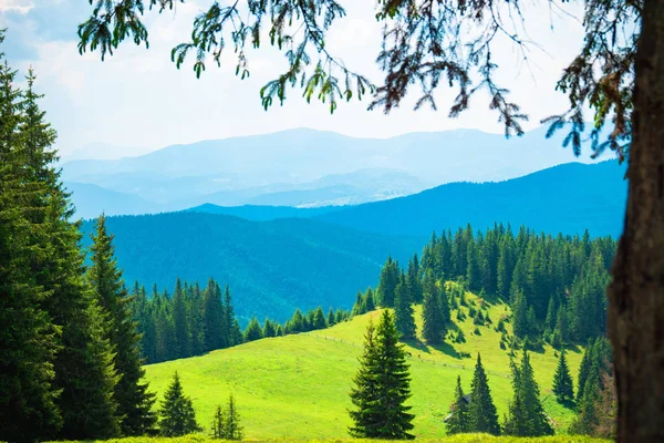 Horské kopce krásná horská krajina, pěší turistika v horách — Stock fotografie