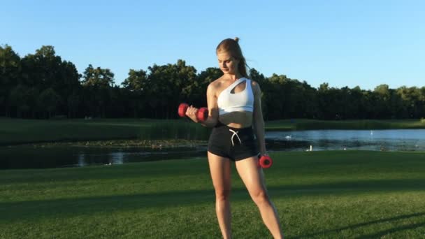 Passar Kvinna Gör Biceps Excersise Med Dumbbels — Stockvideo