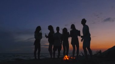 Arkadaşlar kumsal üzerinde Silhouttes. Adam atmak yakacak odun için kamp ateşi.