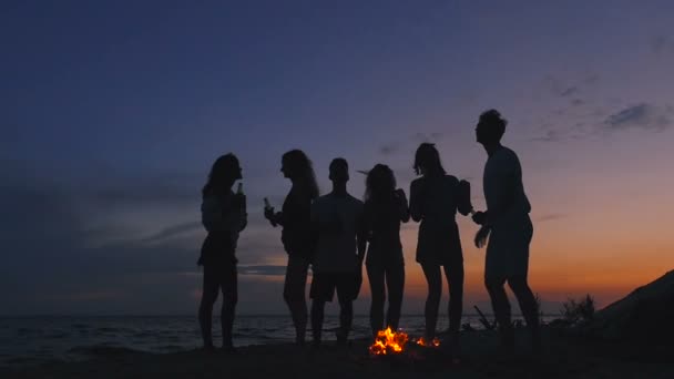 Silhuetas Amigos Praia Homem Atira Lenha Para Fogueira — Vídeo de Stock