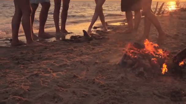 Grupo Amigos Tintineando Botellas Cerveza Tiempo Puesta Del Sol — Vídeos de Stock