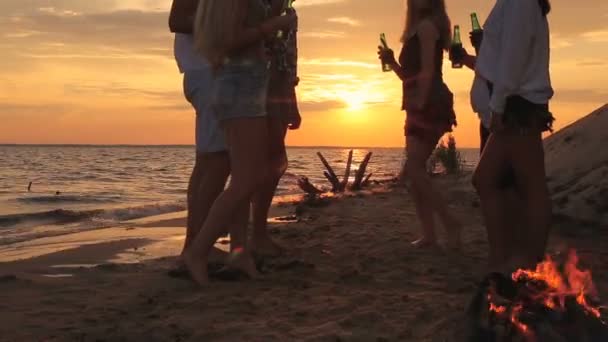 Grupo Amigos Celebrando Tintineando Botellas Cerveza Playa Puesta Sol — Vídeos de Stock