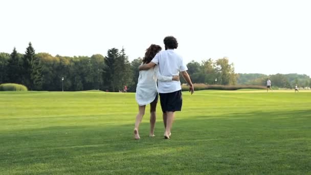 愛を抱いて 緑の芝生の公園で野外を歩いているカップル ステディカム ショット — ストック動画