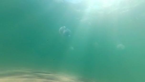 Bubliny Pod Vodou Topící Člověk Actioncamera Zastřelil Slowmottion — Stock video