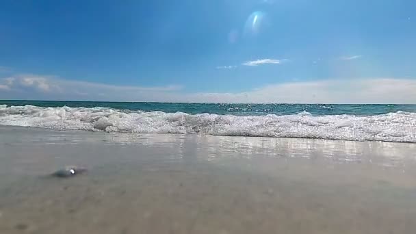 Берег Море Активационная Камера Стреляет Волны Брызги Слоумоция — стоковое видео