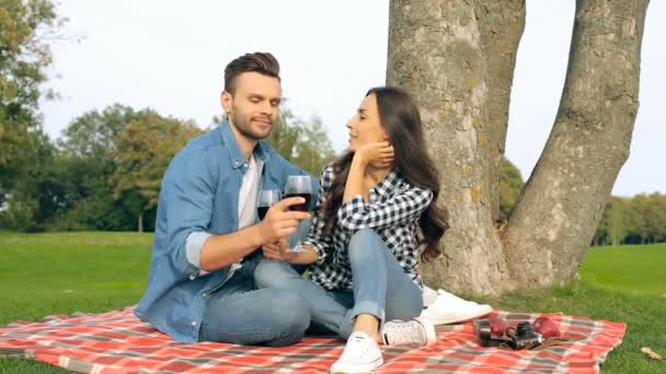 Couple Date Outdoors Drinking Wine Kissing Hugging — Stock Video