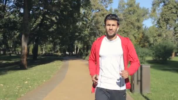 Hombre Corriendo Parque Escuchando Música Los Auriculares Sosteniendo Teléfono Inteligente — Vídeo de stock