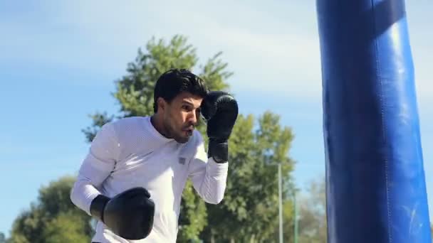 Boxertraining Auf Dem Sportplatz Park — Stockvideo