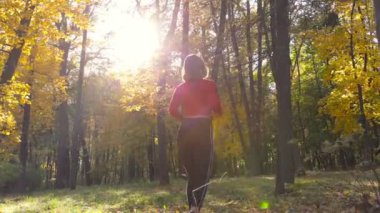 Sonbahar ormanda yürüyüş ve ağaç trx treaning için arama sportif kadın.