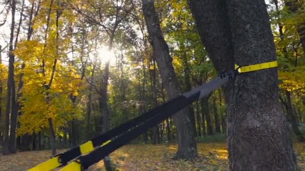 Sportliche Frau Beim Trampolintraining Herbstwald Schwebestativ Geschossen — Stockvideo