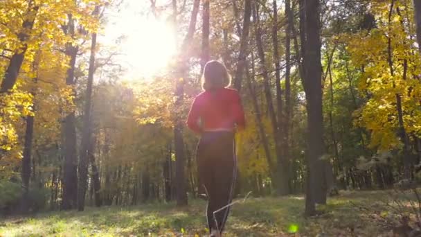 Deportiva Mujer Caminando Bosque Otoño Buscando Árbol Para Trx Treaning — Vídeo de stock