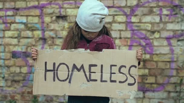 无家可归的孩子女孩站在砖墙附近 拿着纸板与标志无家可归 看着相机 — 图库视频影像