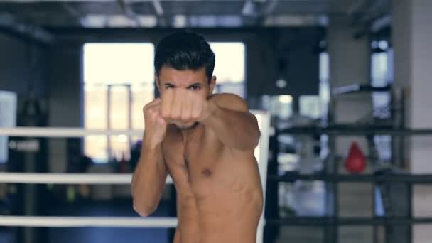 Hombre Con Torso Desnudo Mirando Cámara Entrenando Boxeo — Vídeos de Stock