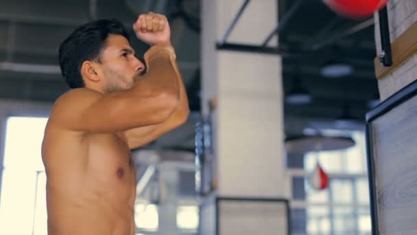 Homme Entraînement Avec Boxe Punch Dans Salle Gym — Video