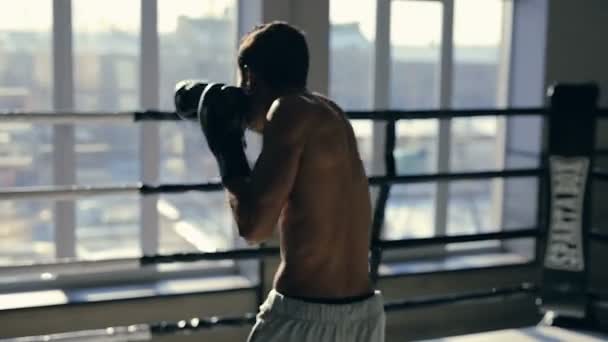 Боксер Тренируется Ринге Попадает Воздух Боксёрских Перчатках Вид Стороны Стедикам — стоковое видео