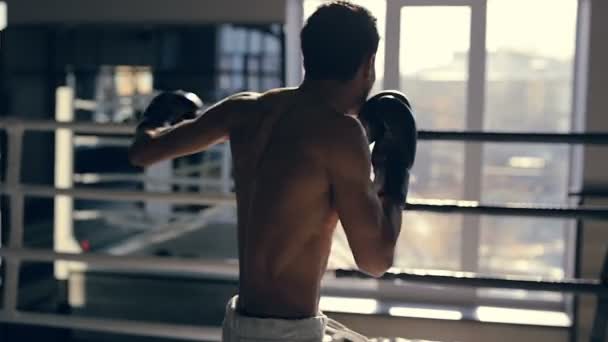 Entrenamiento Boxeadores Ring Mirando Ventana Golpeando Aire Vista Desde Atrás — Vídeos de Stock