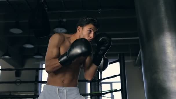 肌肉发达的人在拳击方面进行艰苦的训练 快速命中拳击冲床 — 图库视频影像